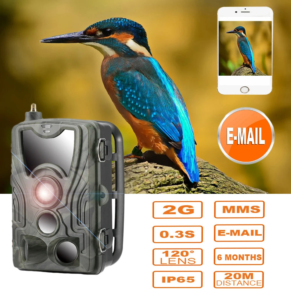2G Hunting Trail Camera 20MP 1080P MMS/SMTP/SMS Wireless Wildlife Cameras Photo Traps HC801M Night Vision Hunter Chasse