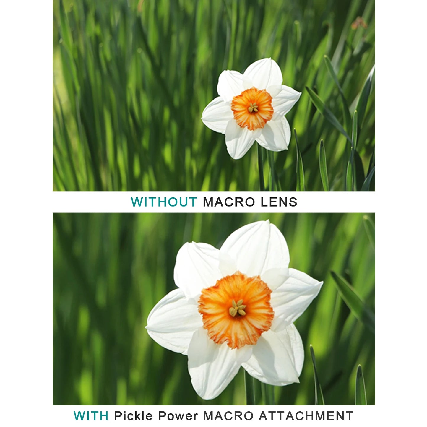 52MM 0.43x Professional HD Wide Angle Camera Lens for Nikon D7100 D7000 D5500 D5300 D5200 D5100 D3300 D3200 D3100 D3000