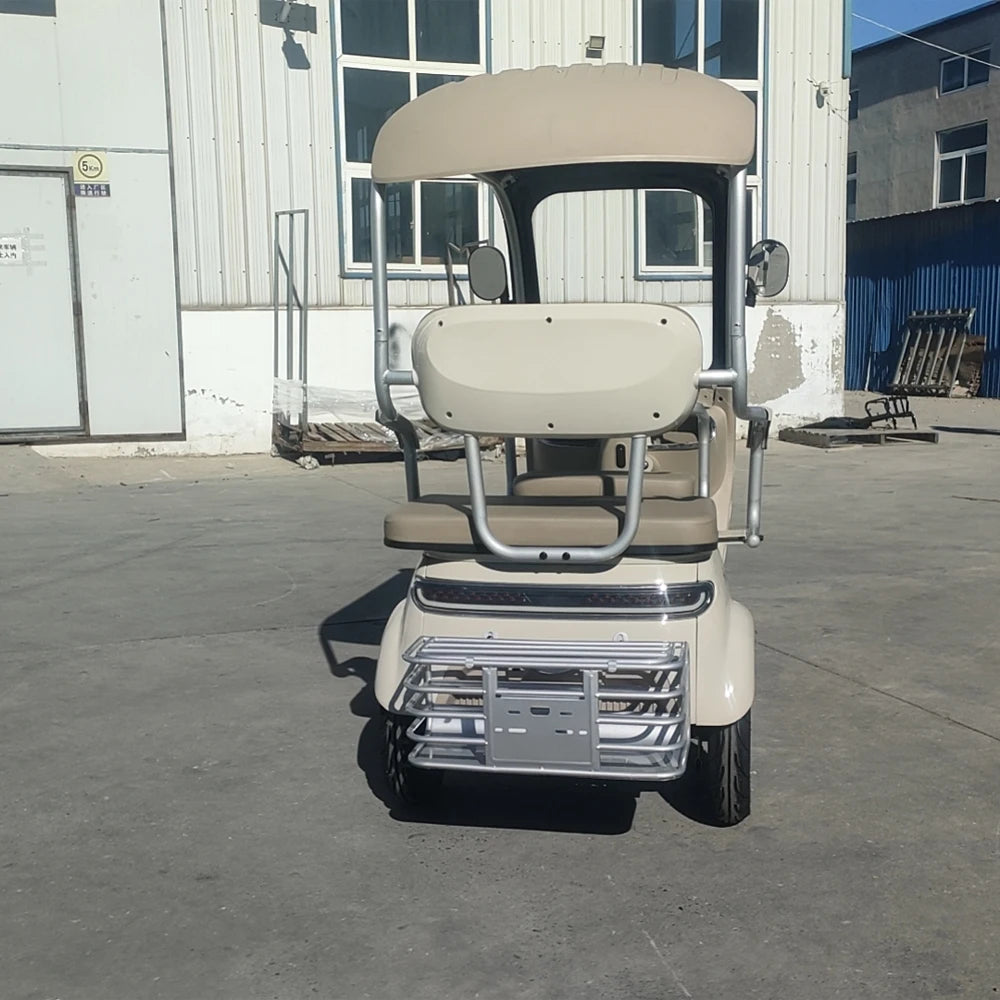Beach Camp Electric Tricycle Bike 800W Family Use E-bike 3 Wheel Electric Scooter with Roof