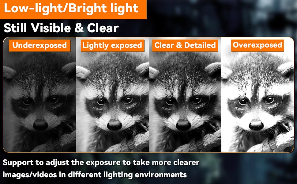 Night Vision Binoculars, FHD Infrared Hunting Night Vision 8X Digital Zoom, Night-Vision Scope Hunting Camping Save Photo Video