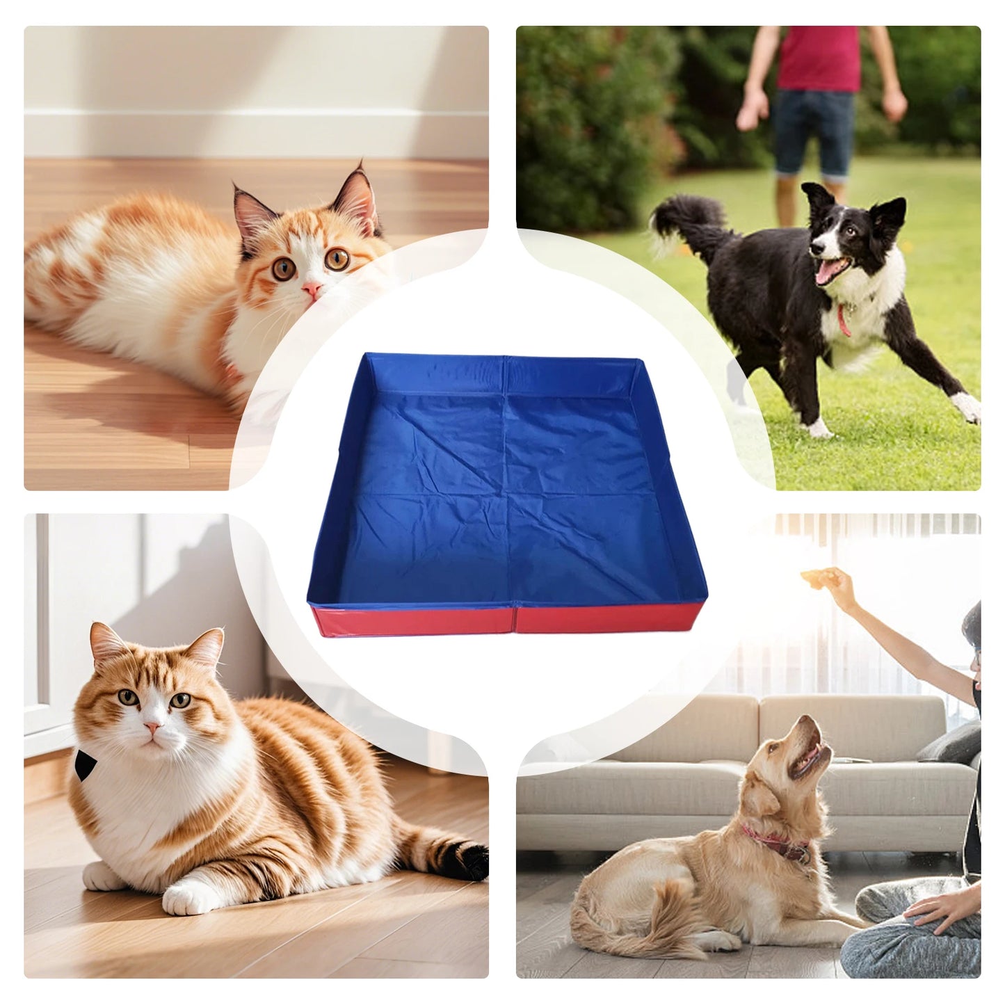 Beach Camp Dog Kiddie Pool PVC Folding Swimming Pool for Dog Non-Inflatable Save Space Pet Puppy Bathing Tub for Puppy Cats Other Animals