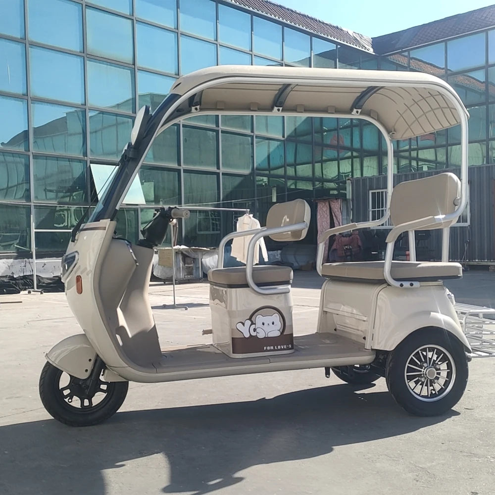 Beach Camp Electric Tricycle Bike 800W Family Use E-bike 3 Wheel Electric Scooter with Roof