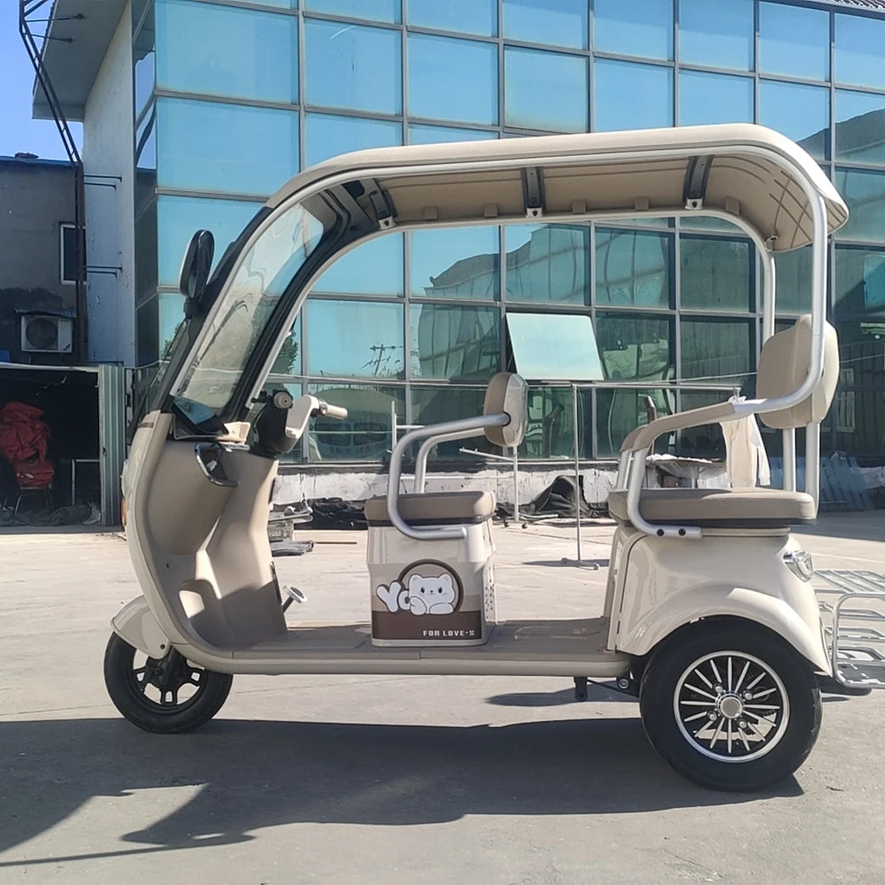 Beach Camp Electric Tricycle Bike 800W Family Use E-bike 3 Wheel Electric Scooter with Roof