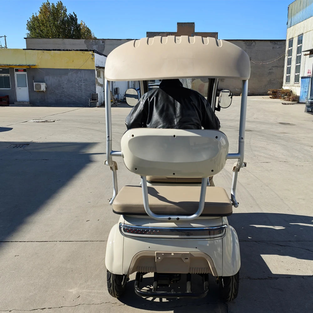 Beach Camp Electric Tricycle Bike 800W Family Use E-bike 3 Wheel Electric Scooter with Roof