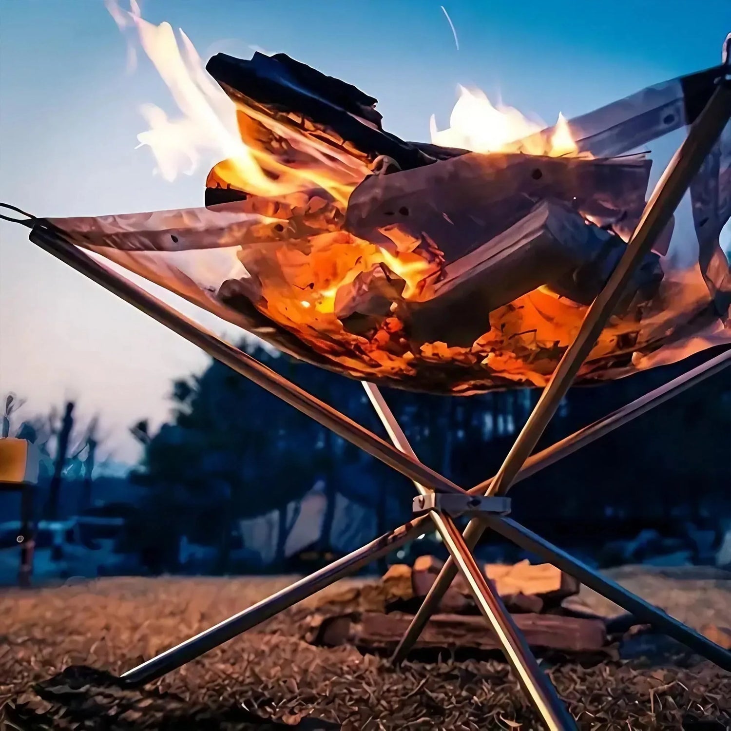 Grill & Fire