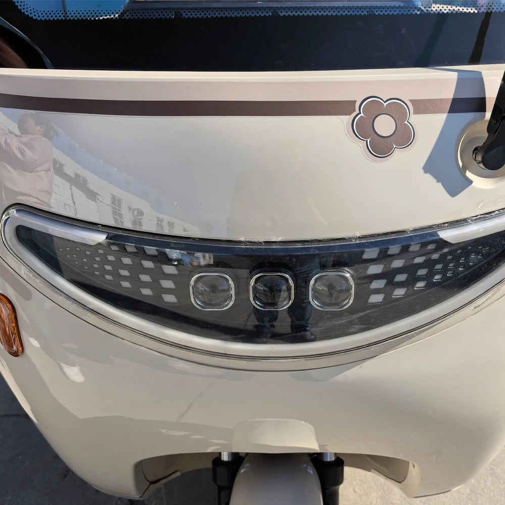 Beach Camp Electric Tricycle Bike 800W Family Use E-bike 3 Wheel Electric Scooter with Roof