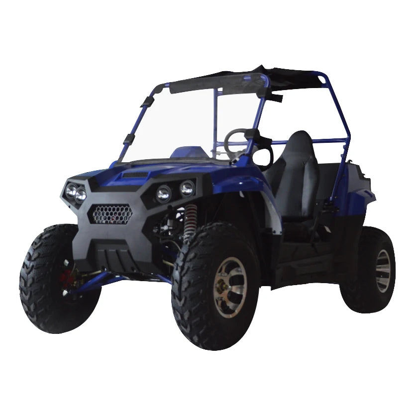 Beach Camp 4 Wheel 2 Seat 200cc U UTV 4*4 Utility Terrain Vehicle