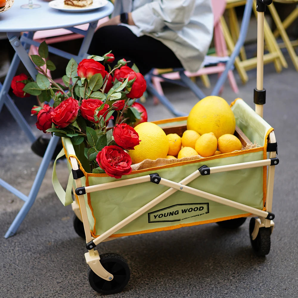 Beach Camp Camping carts are exquisite compact practical sturdy and have a strong load-bearing frame They are designed to be folded