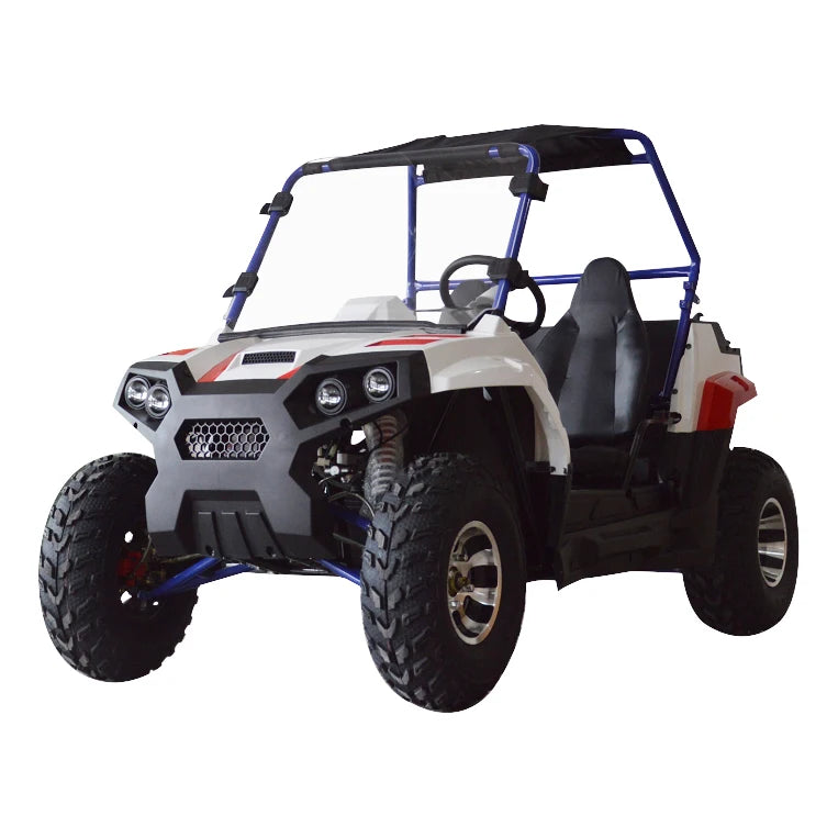 Beach Camp 4 Wheel 2 Seat 200cc U UTV 4*4 Utility Terrain Vehicle