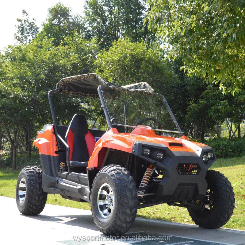 Beach Camp 4 Wheel 2 Seat 200cc U UTV 4*4 Utility Terrain Vehicle