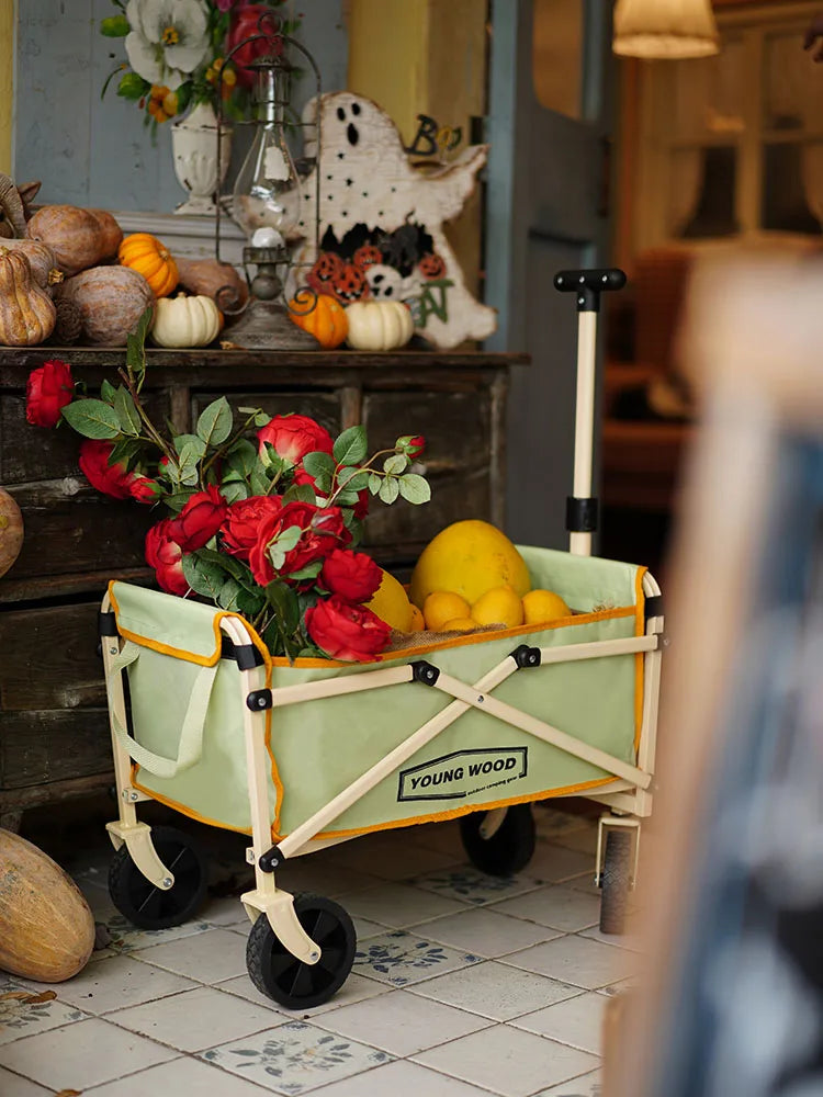 Beach Camp Camping carts are exquisite compact practical sturdy and have a strong load-bearing frame They are designed to be folded