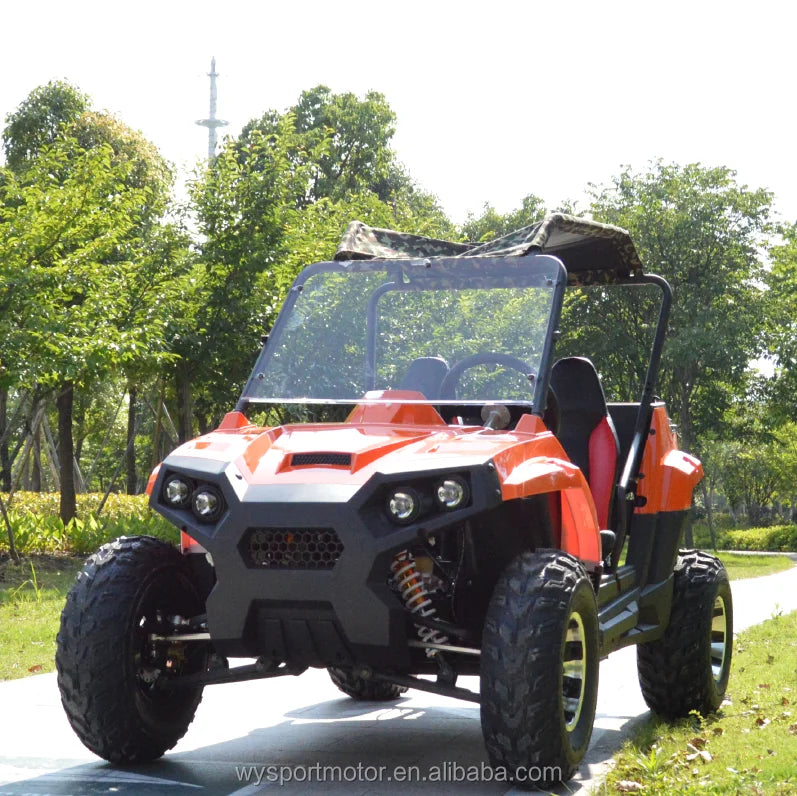 Beach Camp 4 Wheel 2 Seat 200cc U UTV 4*4 Utility Terrain Vehicle