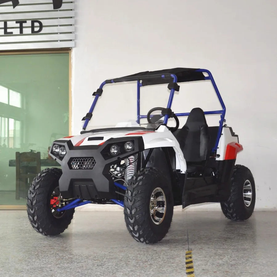 Beach Camp 4 Wheel 2 Seat 200cc U UTV 4*4 Utility Terrain Vehicle