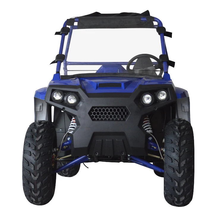 Beach Camp 4 Wheel 2 Seat 200cc U UTV 4*4 Utility Terrain Vehicle