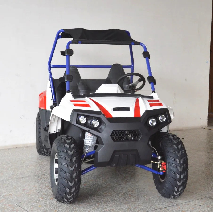 Beach Camp 4 Wheel 2 Seat 200cc U UTV 4*4 Utility Terrain Vehicle