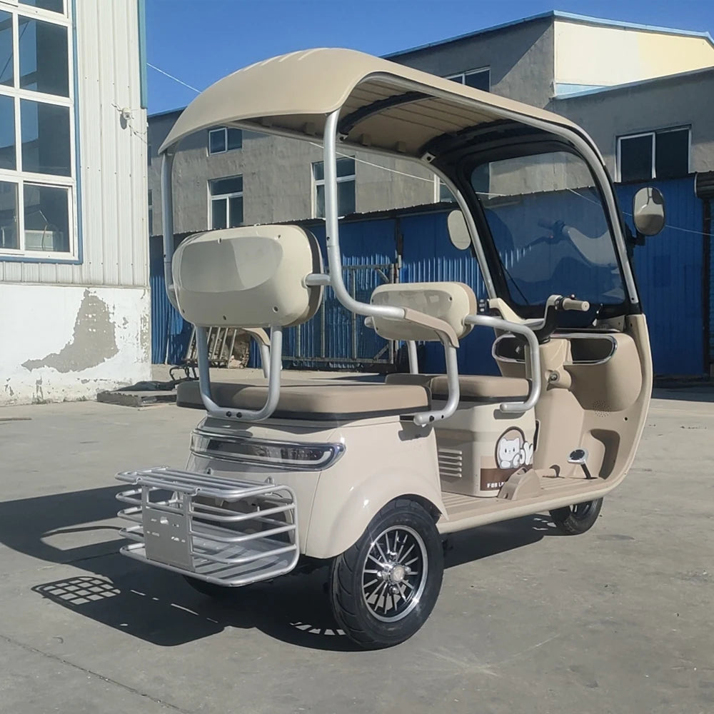 Beach Camp Electric Tricycle Bike 800W Family Use E-bike 3 Wheel Electric Scooter with Roof