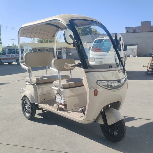 Beach Camp Electric Tricycle Bike 800W Family Use E-bike 3 Wheel Electric Scooter with Roof