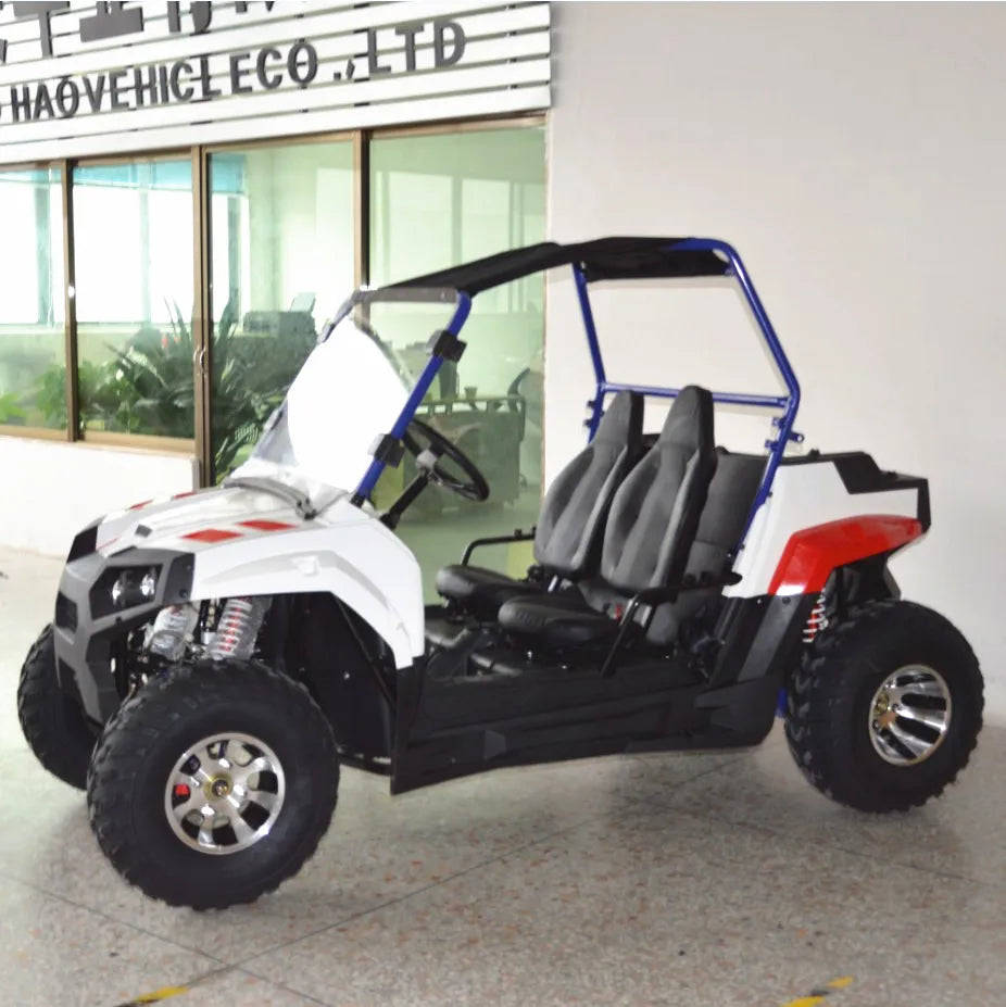 Beach Camp 4 Wheel 2 Seat 200cc U UTV 4*4 Utility Terrain Vehicle