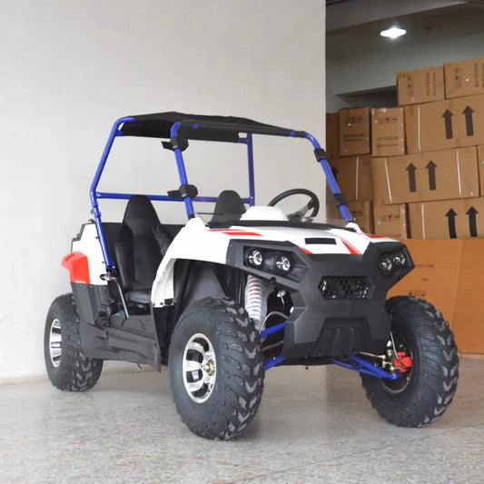Beach Camp 4 Wheel 2 Seat 200cc U UTV 4*4 Utility Terrain Vehicle