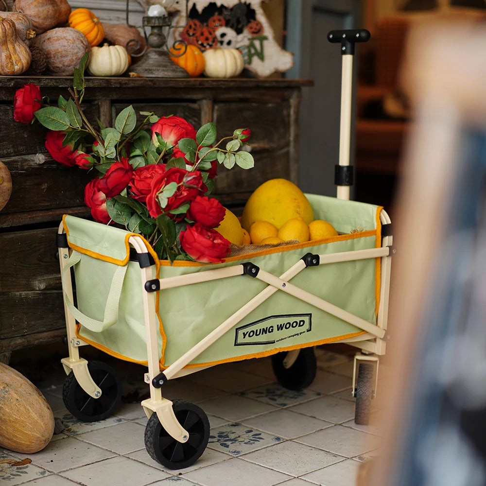 Beach Camp Camping carts are exquisite compact practical sturdy and have a strong load-bearing frame They are designed to be folded