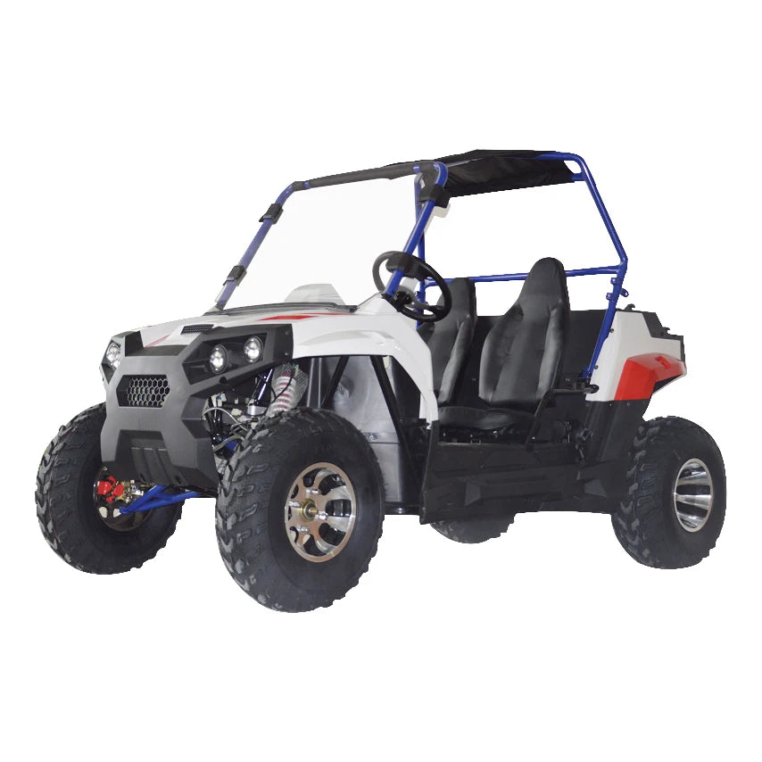 Beach Camp 4 Wheel 2 Seat 200cc U UTV 4*4 Utility Terrain Vehicle